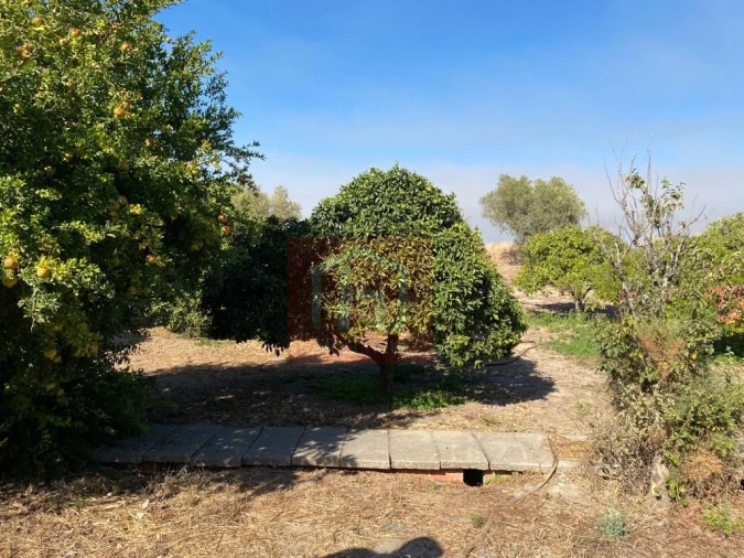 Terreno Misto para Venda em São Francisco Foto 27