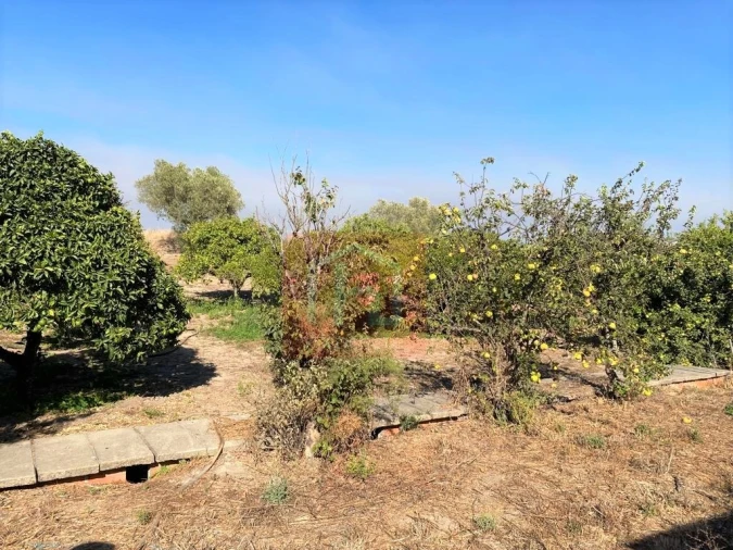 Terreno Misto para Venda em São Francisco Foto 28