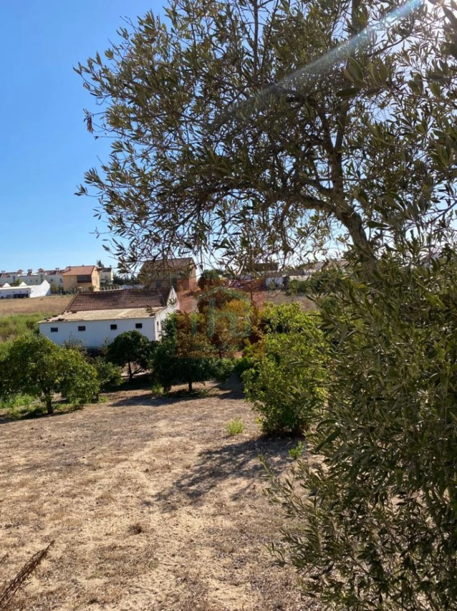 Terreno Misto para Venda em São Francisco Foto 30