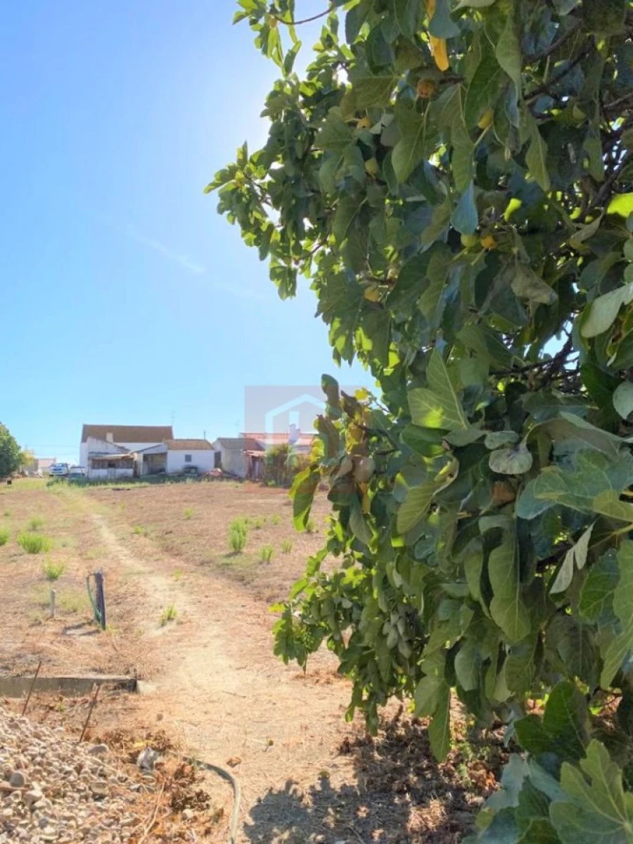 Terreno Misto para Venda em São Francisco Foto 31