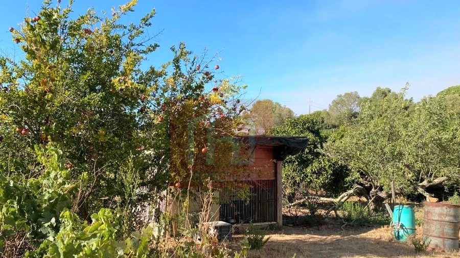Terreno Misto para Venda em São Francisco