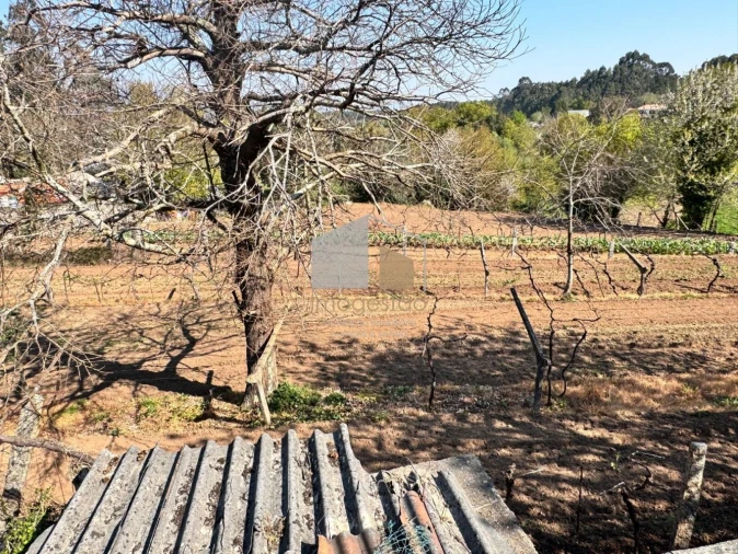 Quinta T2 para Venda em Cornes Foto 18