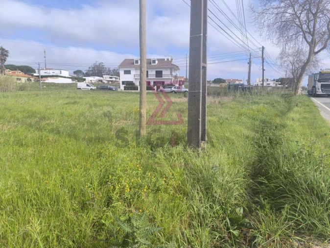 Terreno para Venda em Nadadouro Foto 3