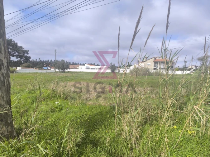 Terreno para Venda em Nadadouro Foto 10