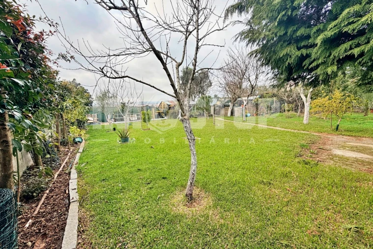 Moradia T4 para Venda em Branca Foto 39