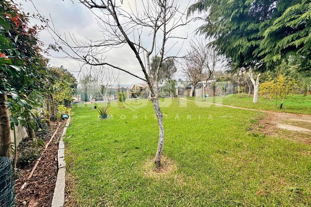 Moradia T4 para Venda em Branca Foto 39