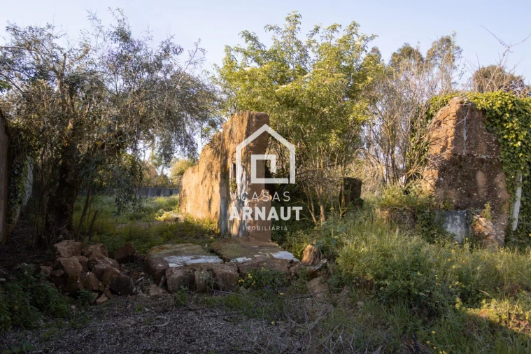 Moradia T3 para Venda em Pombal Foto 6