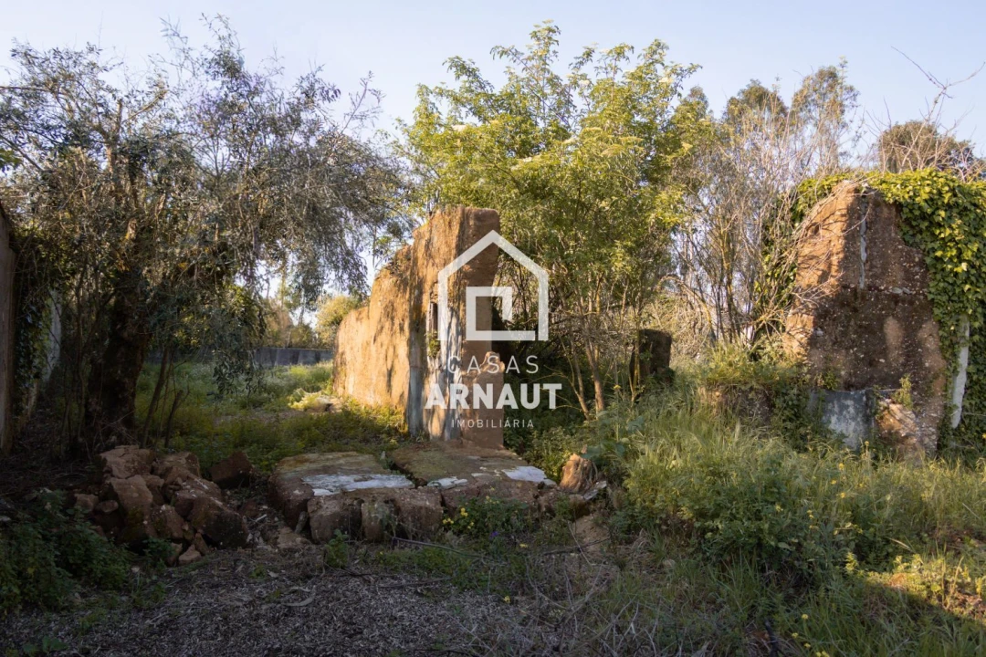 Moradia T3 para Venda em Pombal Foto 6