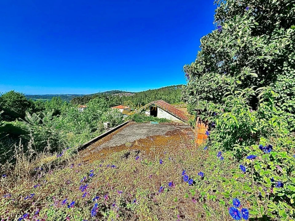Moradia T2 para Venda em Arões (São Romão) Foto 22