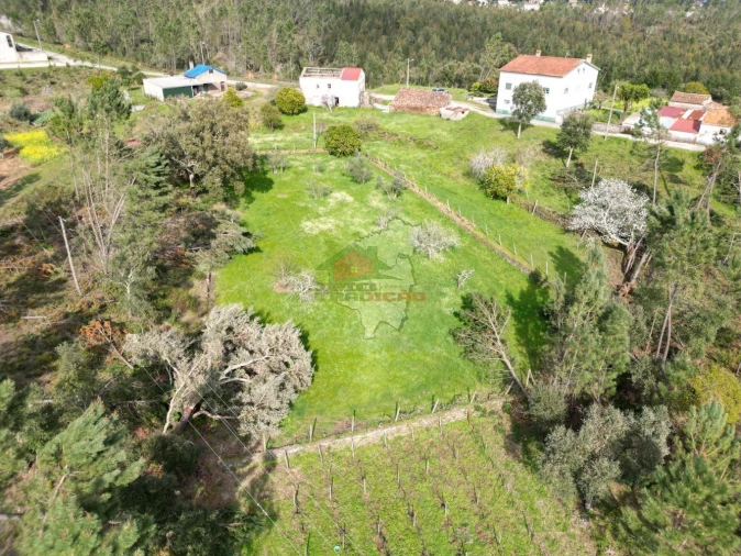 Moradia T4 para Venda em Cernache do Bonjardim, Nesperal e Palhais Foto 6