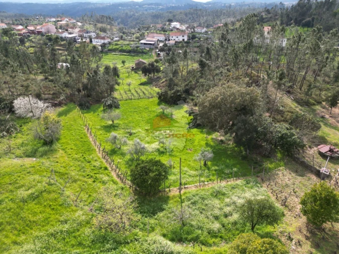 Moradia T4 para Venda em Cernache do Bonjardim, Nesperal e Palhais Foto 4