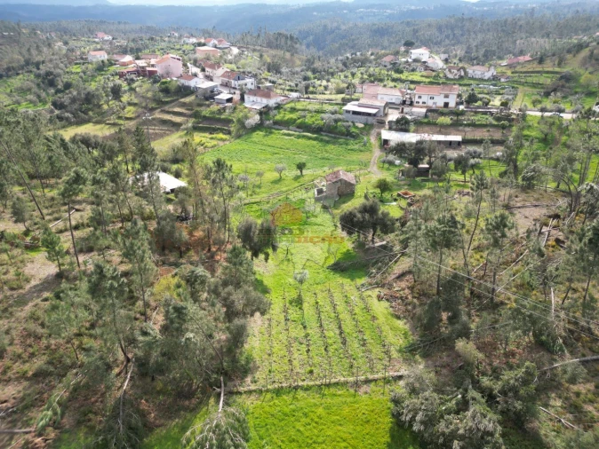 Moradia T4 para Venda em Cernache do Bonjardim, Nesperal e Palhais Foto 5