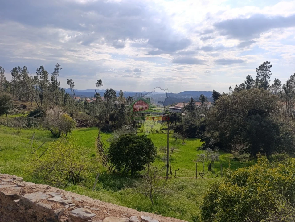 Moradia T4 para Venda em Cernache do Bonjardim, Nesperal e Palhais Foto 26