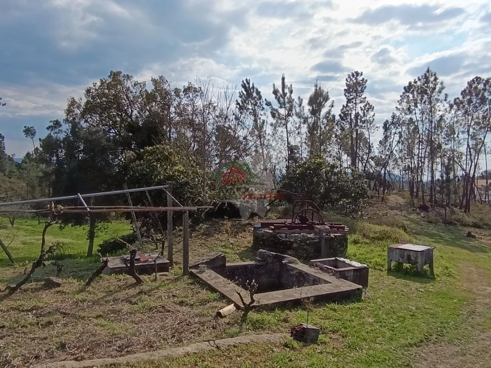 Moradia T4 para Venda em Cernache do Bonjardim, Nesperal e Palhais Foto 34