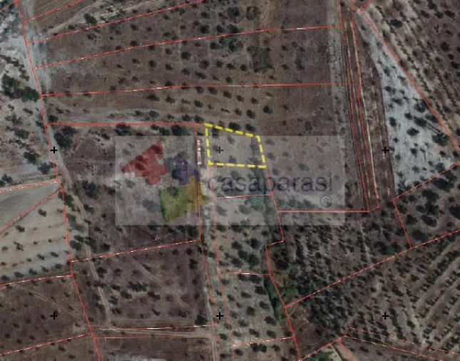 Terreno para Venda em Ponte de Sor, Tramaga e Vale de Açor Foto 2