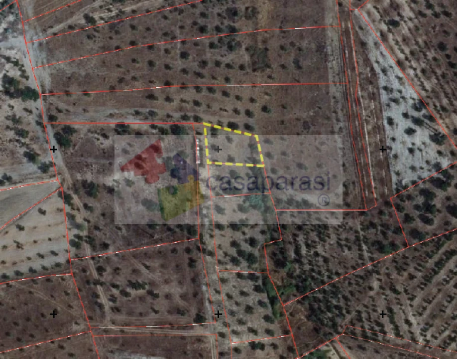 Terreno para Venda em Ponte de Sor, Tramaga e Vale de Açor Foto 2