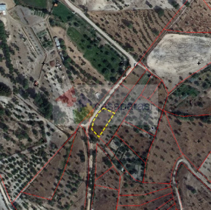 Terreno para Venda em Ponte de Sor, Tramaga e Vale de Açor Foto 3