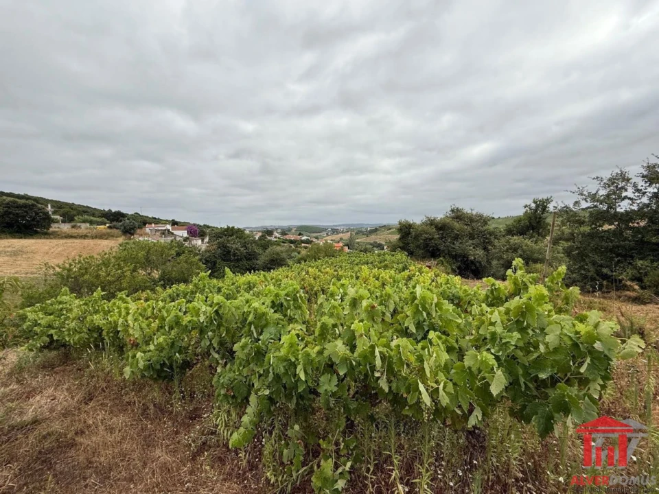 Terreno para Venda em Carvoeira e Carmões Foto 5
