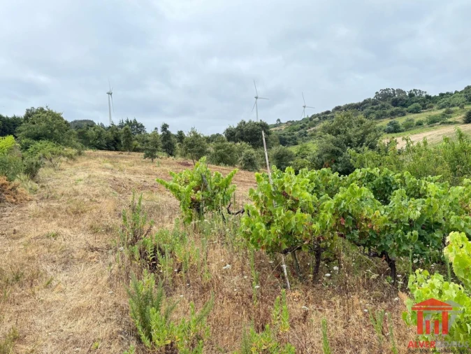 Terreno para Venda em Carvoeira e Carmões Foto 8