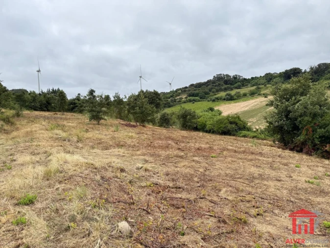 Terreno para Venda em Carvoeira e Carmões Foto 17