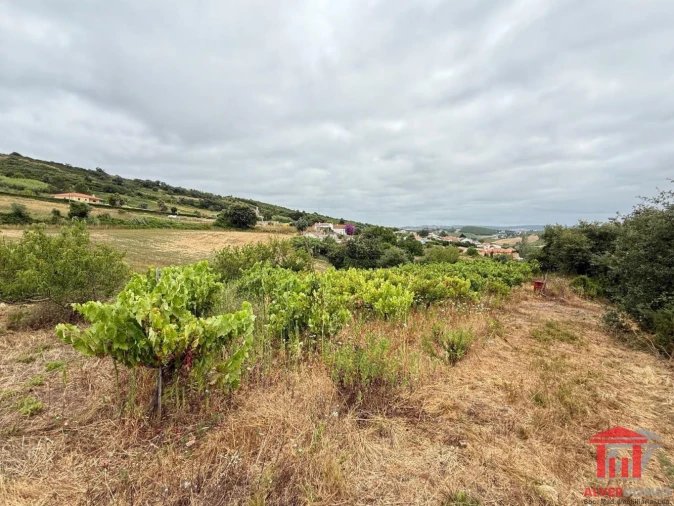 Terreno para Venda em Carvoeira e Carmões Foto 7
