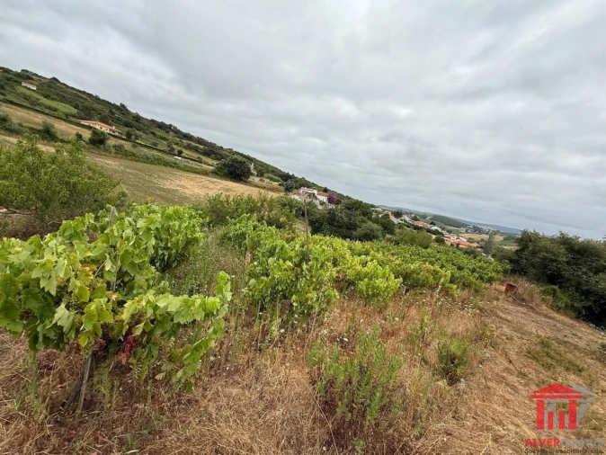 Terreno para Venda em Carvoeira e Carmões Foto 10