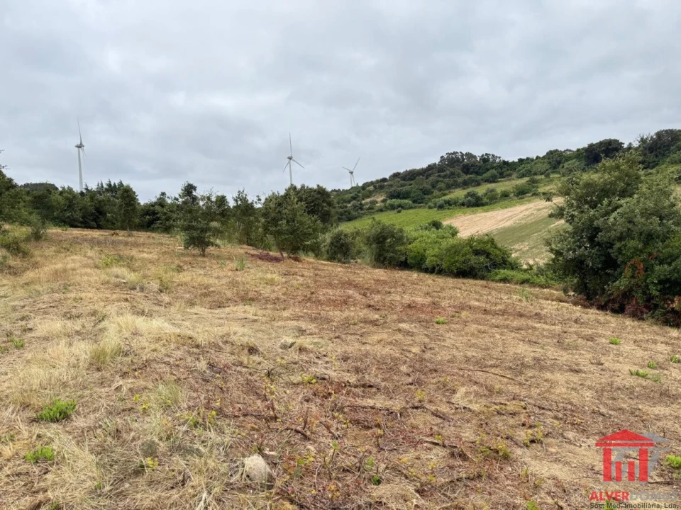 Terreno para Venda em Carvoeira e Carmões Foto 17
