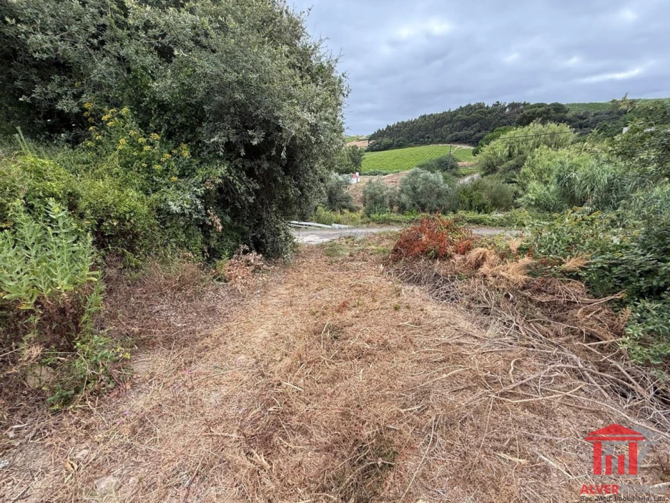 Terreno para Venda em Carvoeira e Carmões Foto 21