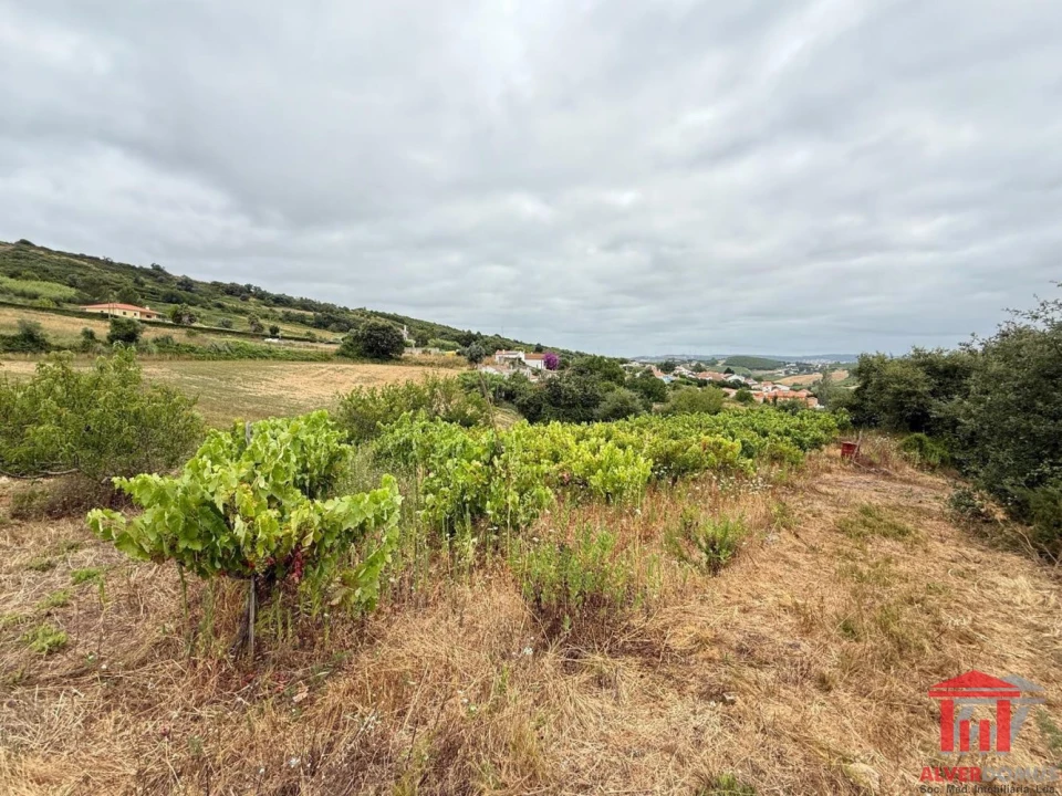 Terreno para Venda em Carvoeira e Carmões Foto 7