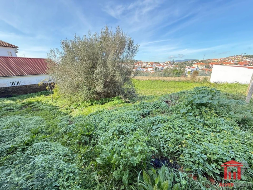 Terreno para Venda em Alcabideche Foto 3