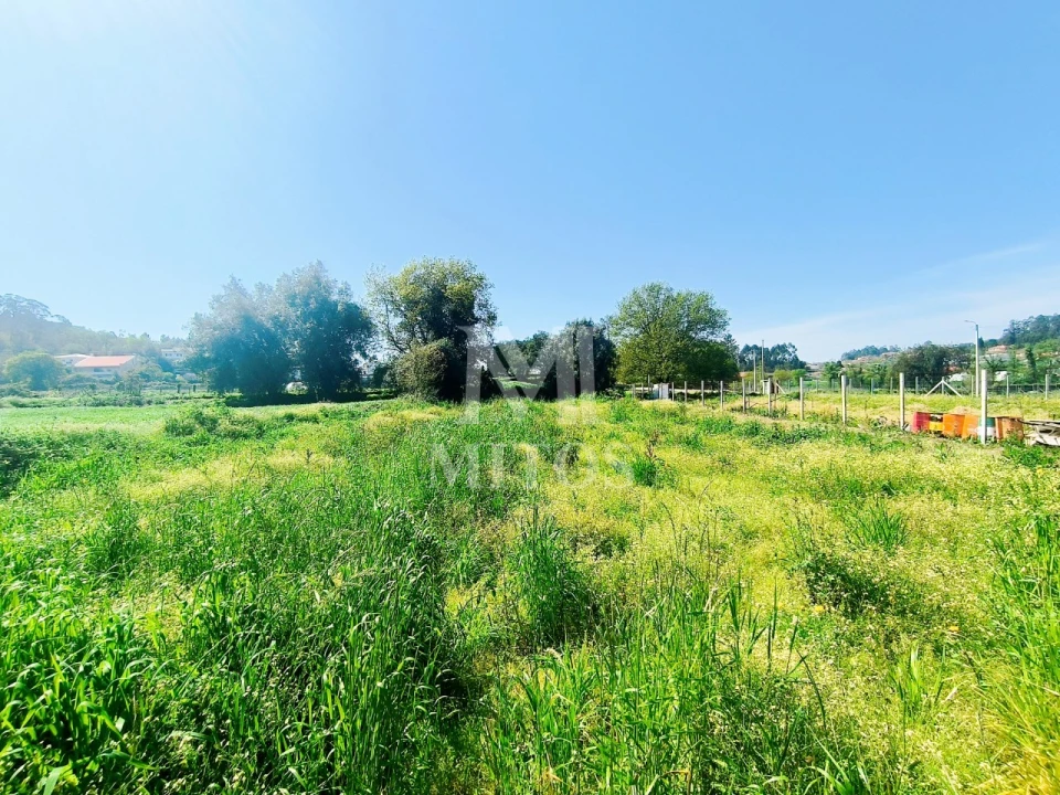 Terreno para Venda em Durrães e Tregosa Foto 8