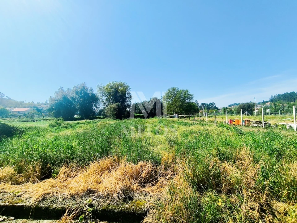 Terreno para Venda em Durrães e Tregosa Foto 10