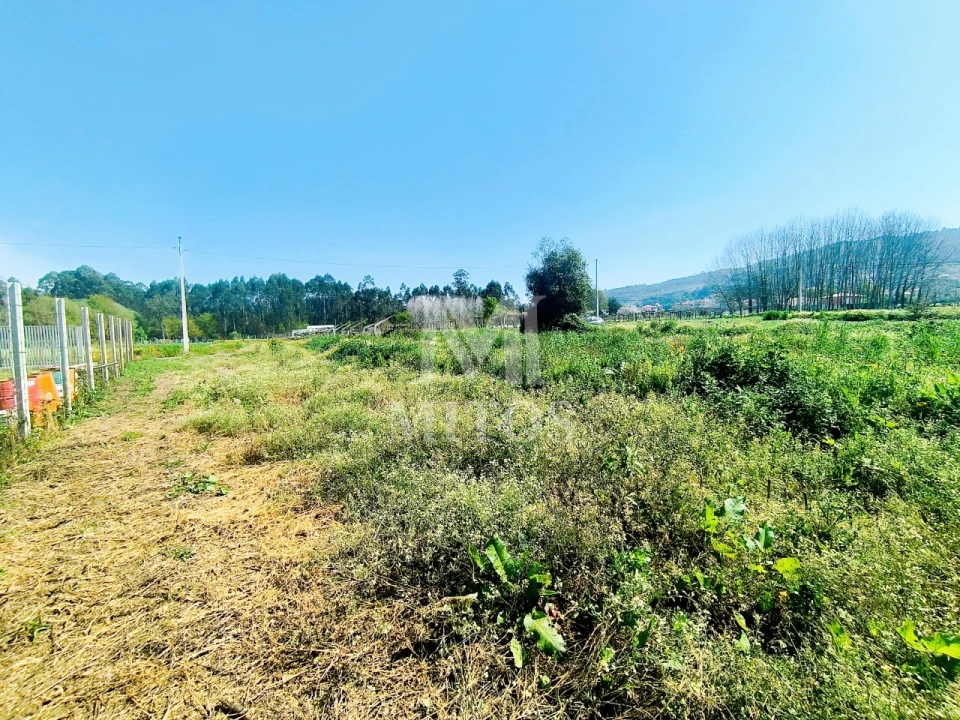 Terreno para Venda em Durrães e Tregosa Foto 11