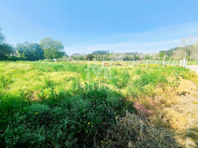 Terreno para Venda em Durrães e Tregosa Foto 9