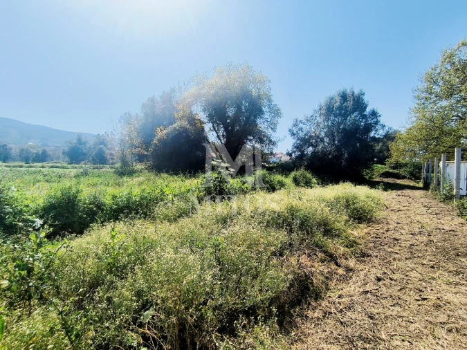 Terreno para Venda em Durrães e Tregosa Foto 12