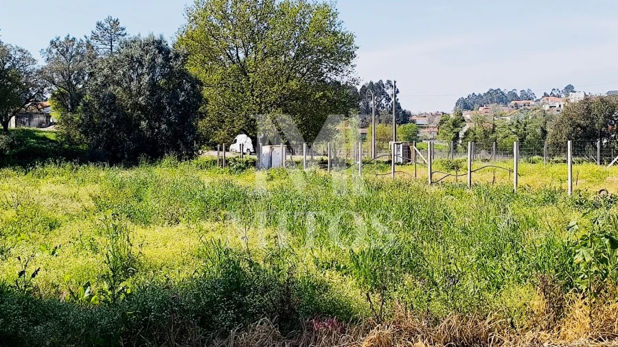 Terreno para Venda em Durrães e Tregosa