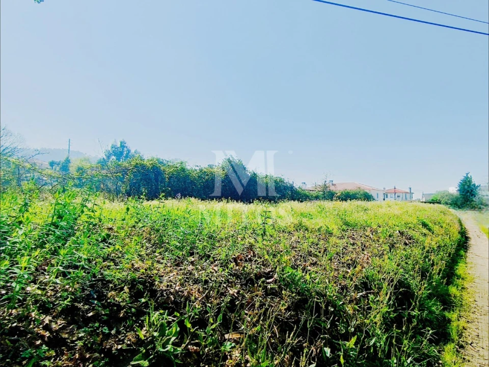 Terreno para Venda em Durrães e Tregosa Foto 2