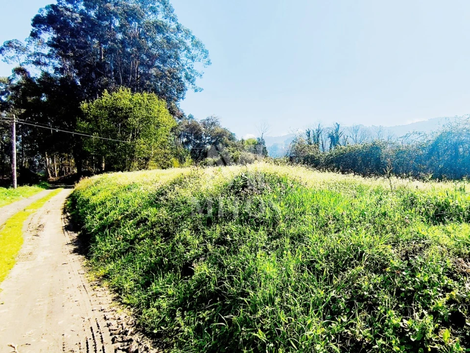 Terreno para Venda em Durrães e Tregosa Foto 3