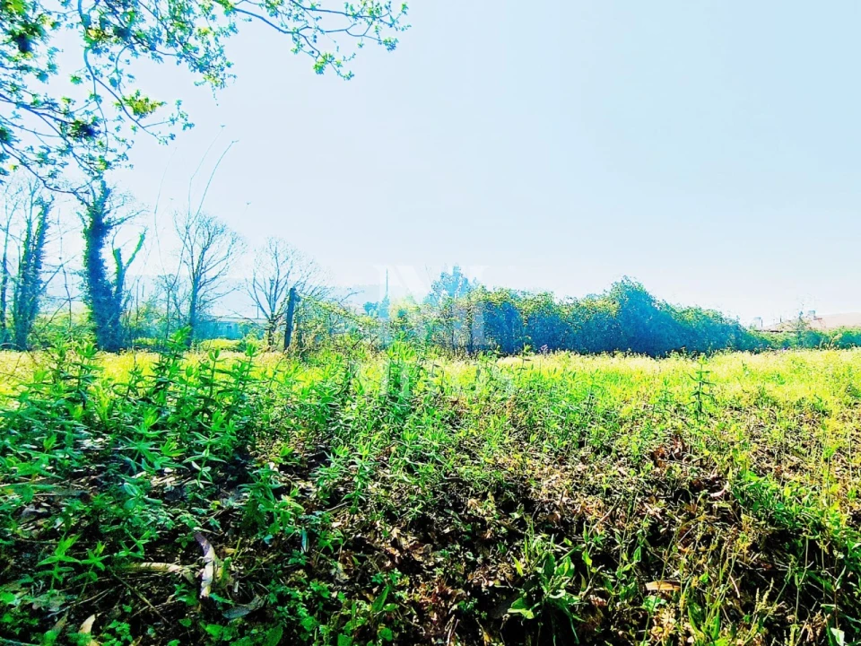 Terreno para Venda em Durrães e Tregosa Foto 5