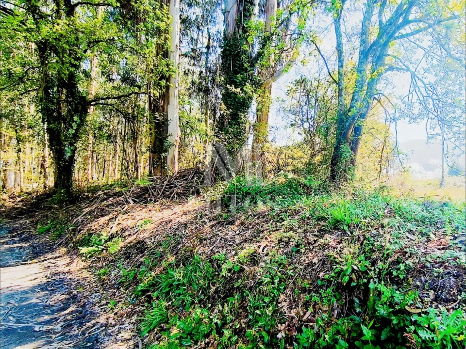 Terreno para Venda em Durrães e Tregosa Foto 7