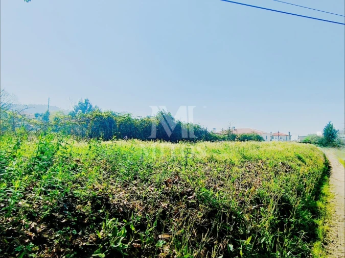 Terreno para Venda em Durrães e Tregosa Foto 2