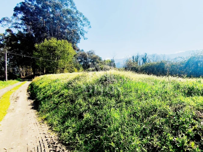 Terreno para Venda em Durrães e Tregosa Foto 3