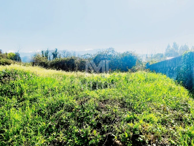 Terreno para Venda em Durrães e Tregosa Foto 4