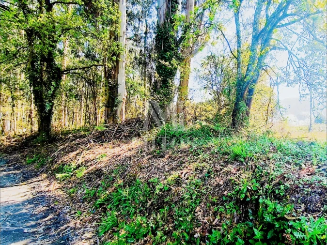 Terreno para Venda em Durrães e Tregosa Foto 7