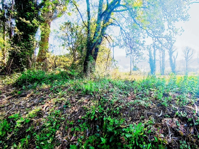 Terreno para Venda em Durrães e Tregosa Foto 8