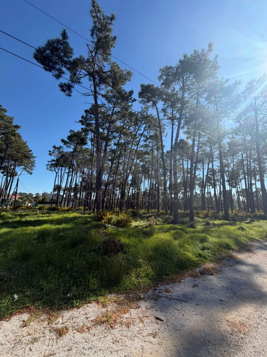 Terreno para Venda em Charneca de Caparica e Sobreda Foto 3