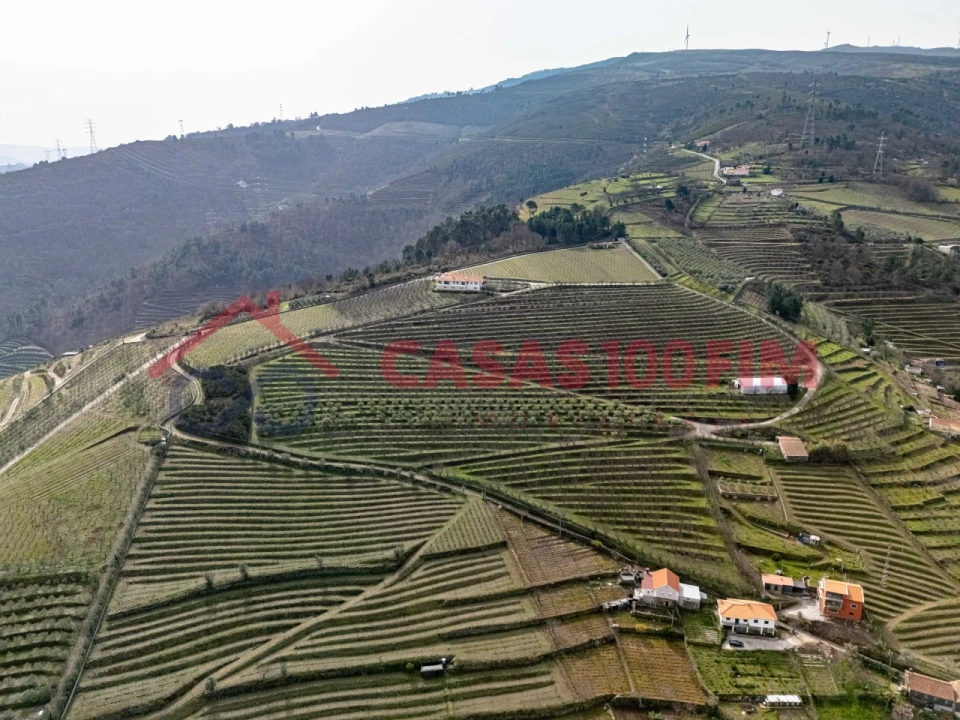 Quinta T7 para Venda em Penajoia Foto 26