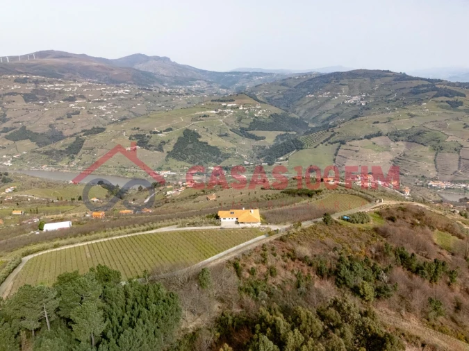 Quinta T7 para Venda em Penajoia Foto 2