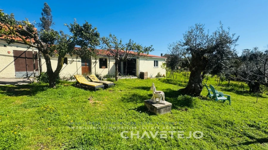 Quinta T2 para Venda em Maçãs de D. Maria Foto 44