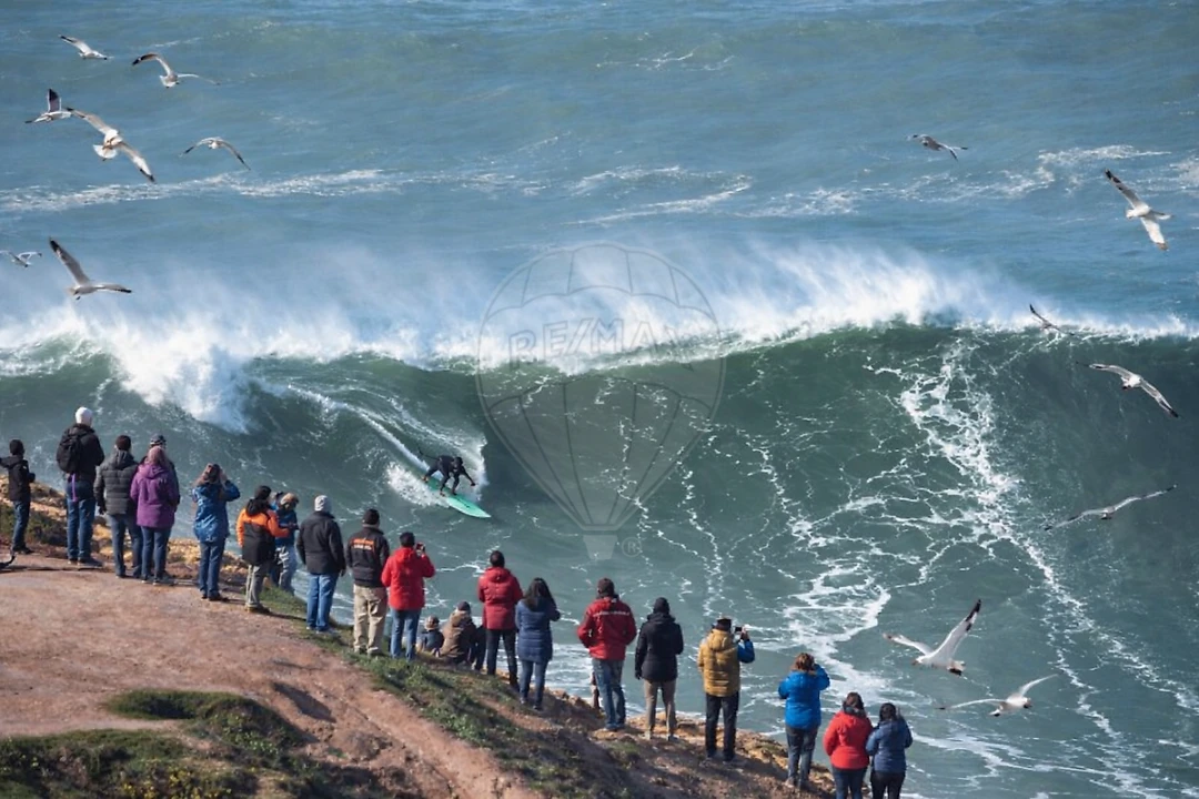 Apartamento para Venda em Nazare Foto 14